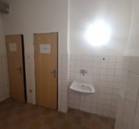 Two doors and a sink in commercial premises, separate toilets, neutral color palette.