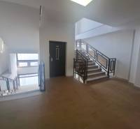 A staircase in commercial premises with windows and a wooden decor floor.