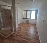 Commercial premises with wood-patterned flooring and a shower corner.