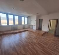 Interior of commercial space with large windows, wooden decor flooring, empty room.