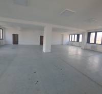 Spacious commercial spaces with large windows and simple flooring.