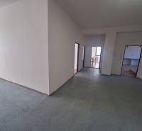 Interior photograph of a space with light-colored walls and three doors, flooring with a wooden decor.