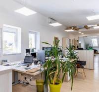 Bright offices with computers, plants, and wood-patterned flooring.