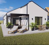 A family house in Borčice with a terrace, loungers, and garden furniture surrounded by a green lawn.