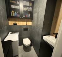 Bathroom with toilet in a 2-room apartment, tiles, cabinet, washing machine, and storage space.