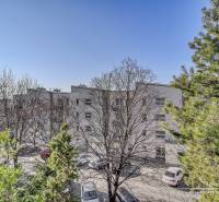 A view of Veterná Street in Trnava from a 4-room apartment, showing trees and cars.