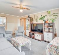 Living room in a 4-room apartment with comfortable seating, houseplants, and a carpet.
