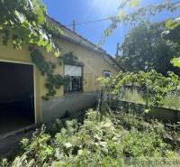 An overgrown garden and vine surround the family house in Tvrdošovce.