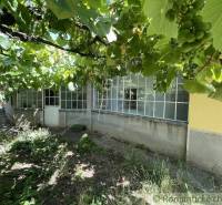 A family house in Tvrdošovce surrounded by vines, which create a pleasant shade.