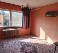 A room in a family house with a carpet, chandelier, window, and radiator, warm-colored walls.