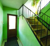Interior of a family house with wooden stairs, green walls, and a plant.