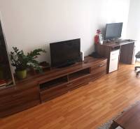 A room of a 2-room apartment with a television, a table, a wooden-patterned floor, and a plant.