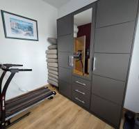 Treadmill, wardrobe with mirror, and floor with wood decor in a recreational apartment.