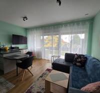 Living room in a holiday apartment with wood-patterned flooring, a sofa, and a TV.
