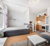 Bright 1-room apartment with a kitchenette, bed, and sofa, floor with wood decor.