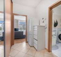 In the interior of a 1-room apartment, a hallway, a bathroom, and a living space are visible.