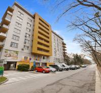 Apartment building on Antolská Street in Bratislava - Petržalka surrounded by trees and parked cars.