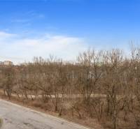 View from Antolská Street in Bratislava, Petržalka towards the forest and apartment blocks, 1-room apartment.