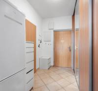 Entrance hall of a one-room apartment with tiles, a coat rack, and a wardrobe.