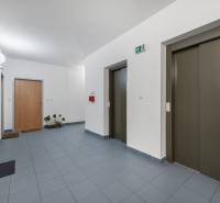 Entrance hallway with elevators and doors in a 1-room apartment, tiled floor.