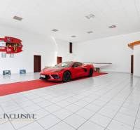 The commercial premises display a car and a boat with a white floor and sports equipment.