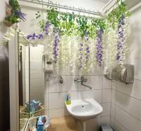 A bathroom in gastro premises with a sink, mirror, and decorative hanging plants.