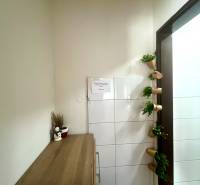 Wooden furniture in gastro spaces with decorative elements on the wall.