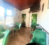 Gastro premises with wooden ceiling and floor, green chairs, window.