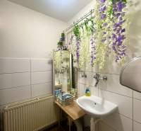 A bathroom with white tiles, a sink, and decoration in a gastro space.