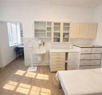 A bright office with a sink, wood-patterned flooring, and storage spaces.