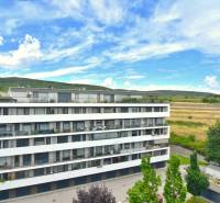 Container house in Bratislava - Rača on Pri vinohradoch street with a view of the vineyards.