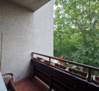 A balcony in a 4-room apartment surrounded by greenery with flower pots on the railing.