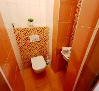 Toilet in a 4-room apartment with orange tiles and mosaic, small sink in the corner.