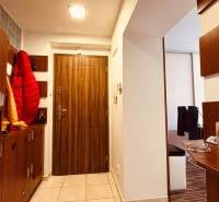 Entrance hallway in a 3-room apartment with tiles and wooden decor on the doors.