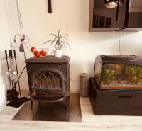 The 3-room apartment features a fireplace, an aquarium, and flooring with a wooden decor.