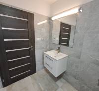Bathroom in a family house with a sink, mirror, and dark doors.