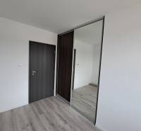 A room with a wooden decor floor, dark doors, and a built-in wardrobe in a family house.