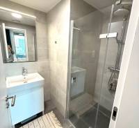 Bathroom in a 2-room apartment with a sink, shower corner, and decorative mat.