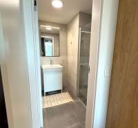 Bathroom in a 2-room apartment with a sink, shower, and floor with a wooden decor.