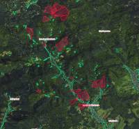 Sale Agrarian and forest land, Agrarian and forest land, Považská Byst