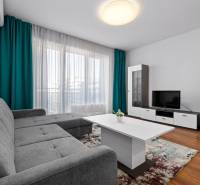 Sale One bedroom apartment, One bedroom apartment, Na križovatkách, Br