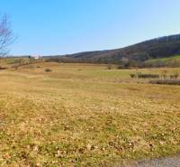 Sale Agrarian and forest land, Agrarian and forest land, Krupina, Slov