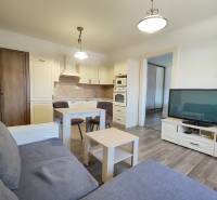Sale One bedroom apartment, One bedroom apartment, Partizánska, Lučene