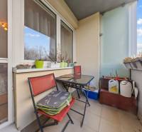 A balcony of a 4-room apartment with flower pots and chairs, ideal for relaxation.
