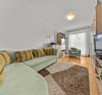 Living room in a 4-room apartment with a couch, television, and a floor with a wooden decor.