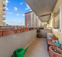 The balcony of a 4-room apartment on Nejedlého Street in Bratislava - Dúbravka with flower pots.