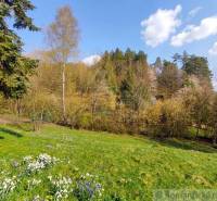 Spring landscape in the gardens in Ľubietová with blooming flowers and trees.