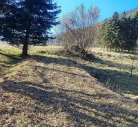 Gardens in Ľubietová with trees and grass under a blue sky.