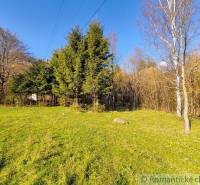 Sunny Gardens in Ľubietová with coniferous trees and green grass.