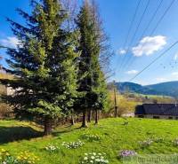 Gardens in Ľubietová with coniferous trees, a babbling brook, and spring flowers.